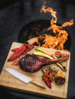 F. DICK Kochmesser VIVUM 21 Cm -Angebote BBQ Grill Besteck Store 4009215188929 DICK VIVUM KOCHMESSER 83647212H 04