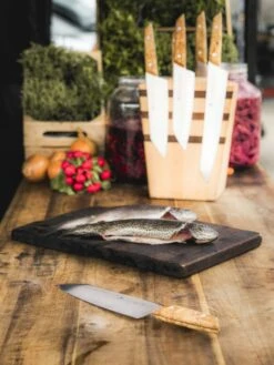 F. DICK Kochmesser VIVUM 21 Cm -Angebote BBQ Grill Besteck Store 4009215188929 DICK VIVUM KOCHMESSER 83647212H 06