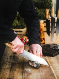 F. DICK Kochmesser VIVUM 21 Cm -Angebote BBQ Grill Besteck Store 4009215188929 DICK VIVUM KOCHMESSER 83647212H 07