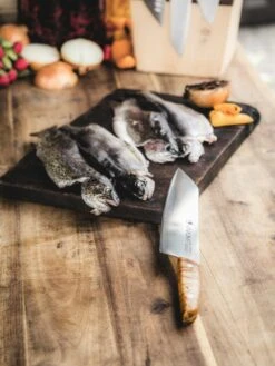 F. DICK Kochmesser VIVUM 21 Cm -Angebote BBQ Grill Besteck Store 4009215188929 DICK VIVUM KOCHMESSER 83647212H 08