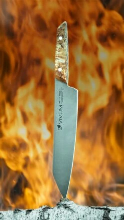 F. DICK Kochmesser VIVUM 21 Cm -Angebote BBQ Grill Besteck Store 4009215188929 DICK VIVUM KOCHMESSER 83647212H 10