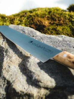 F. DICK Brotmesser VIVUM 26 Cm -Angebote BBQ Grill Besteck Store 4009215188950 DICK VIVUM BROTMESSER WELLENSCHLIFF 83639262H 03