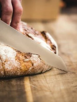 F. DICK Brotmesser VIVUM 26 Cm -Angebote BBQ Grill Besteck Store 4009215188950 DICK VIVUM BROTMESSER WELLENSCHLIFF 83639262H 07