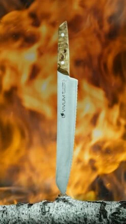 F. DICK Brotmesser VIVUM 26 Cm -Angebote BBQ Grill Besteck Store 4009215188950 DICK VIVUM BROTMESSER WELLENSCHLIFF 83639262H 08