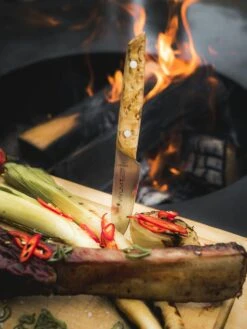 F. DICK Officemesser VIVUM 10 Cm -Angebote BBQ Grill Besteck Store 4009215188967 DICK VIVUM OFFICEMESSER 83647102H 04