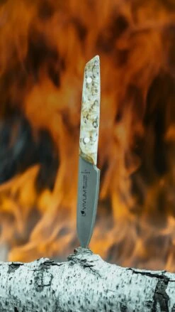 F. DICK Officemesser VIVUM 10 Cm -Angebote BBQ Grill Besteck Store 4009215188967 DICK VIVUM OFFICEMESSER 83647102H 05