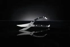 NAPOLEON Geflügelschere Edelstahl (55077) 5 NAPOLEON Geflügelschere Edelstahl (55077) -Angebote BBQ Grill Besteck Store NAPOLEON Gefluegelschere 2