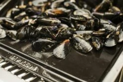 NAPOLEON Gusseiserne Grillplatte Plancha (56090) -Angebote BBQ Grill Besteck Store NAPOLEON Plancha Porzellan Emailliert 5