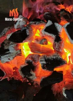 Big Green Egg Woody Holzkohle Aus Buchenholz 10 Kg 6 Big Green Egg Woody Holzkohle Aus Buchenholz 10 Kg -Angebote BBQ Grill Besteck Store bge 0724943369085 Buchenholzkohle 2048x2048