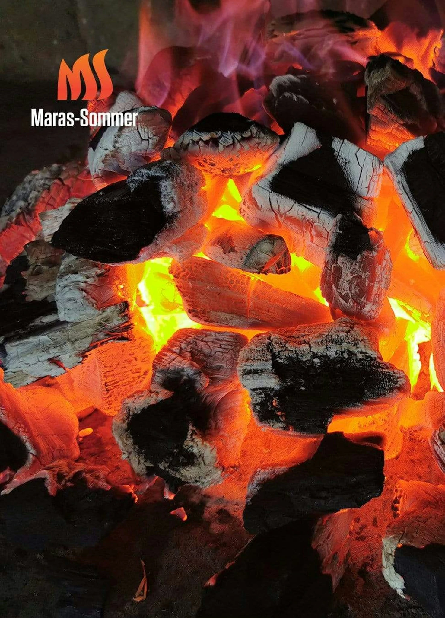 Big Green Egg Woody Holzkohle Aus Buchenholz 10 Kg 3 Big Green Egg Woody Holzkohle Aus Buchenholz 10 Kg – Bild 3